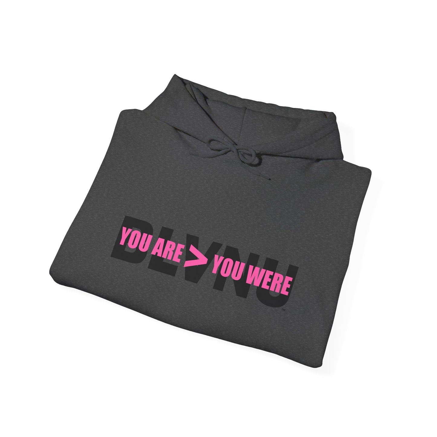BLVNU - You Are > You Were (Pink) - Unisex Heavy Blend™ Hooded Sweatshirt